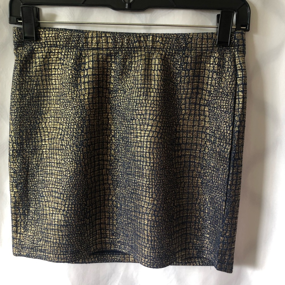 Concert Women’s Skirt Small Blue/Gold